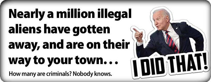 illegals_got_away